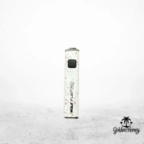 WULF FLAT PLUS battery standing against a plain background, showcasing its sleek design and compact size.