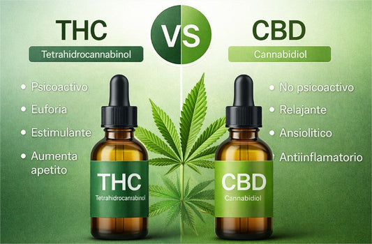 Diferencias entre THC y CBD cuál elegir según tu objetivo